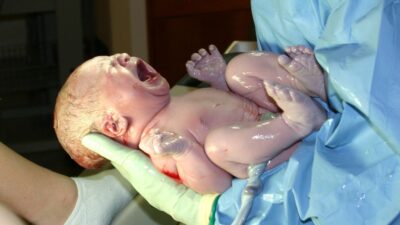 A newborn baby